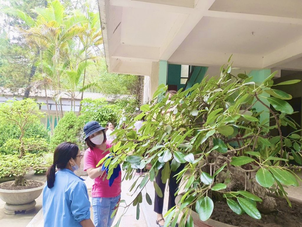 CÔNG TY CỔ PHẦN XI MĂNG MIỀN TRUNG